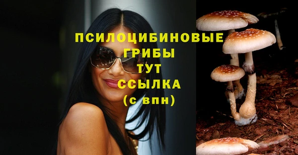 кокаин колумбия Алексин