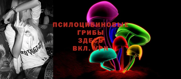 крисы Алзамай